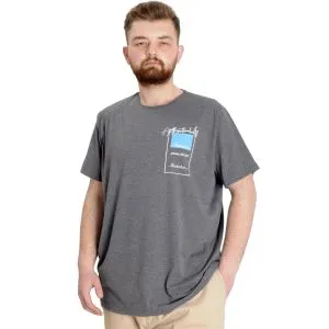 Big Size Mens T-Shirt ESTABLISMENT 23139 AntraMelange