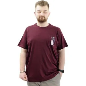 Mens Big Size T-Shirt Crew Neck T-shirt LIMITED U24052 Plum