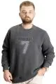 Big Size Mens Sweat Bis. Collar Workout 22530 Antrasit