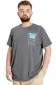 Big Size Mens T-Shirt ESTABLISMENT 23139 AntraMelange