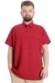 Big Size Mens T-Shirt Polo CARPE DIEM 23333 Burgundy