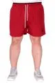 Big Size Mens Short Burgundy 25401
