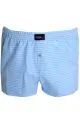 Big Size Mens Boxer Desenli Poplin 6348 Ice Blue