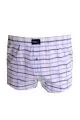 Big Size Mens Boxer Desenli Poplin 6348 Mor