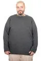 Plus Size Men Long Sleeve Crew Neck T-Shirt 20102 Antrashite