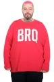 Büyük Beden Erkek BRO2 Bisiklet Yaka T-Shirt 26105 KIRMIZI